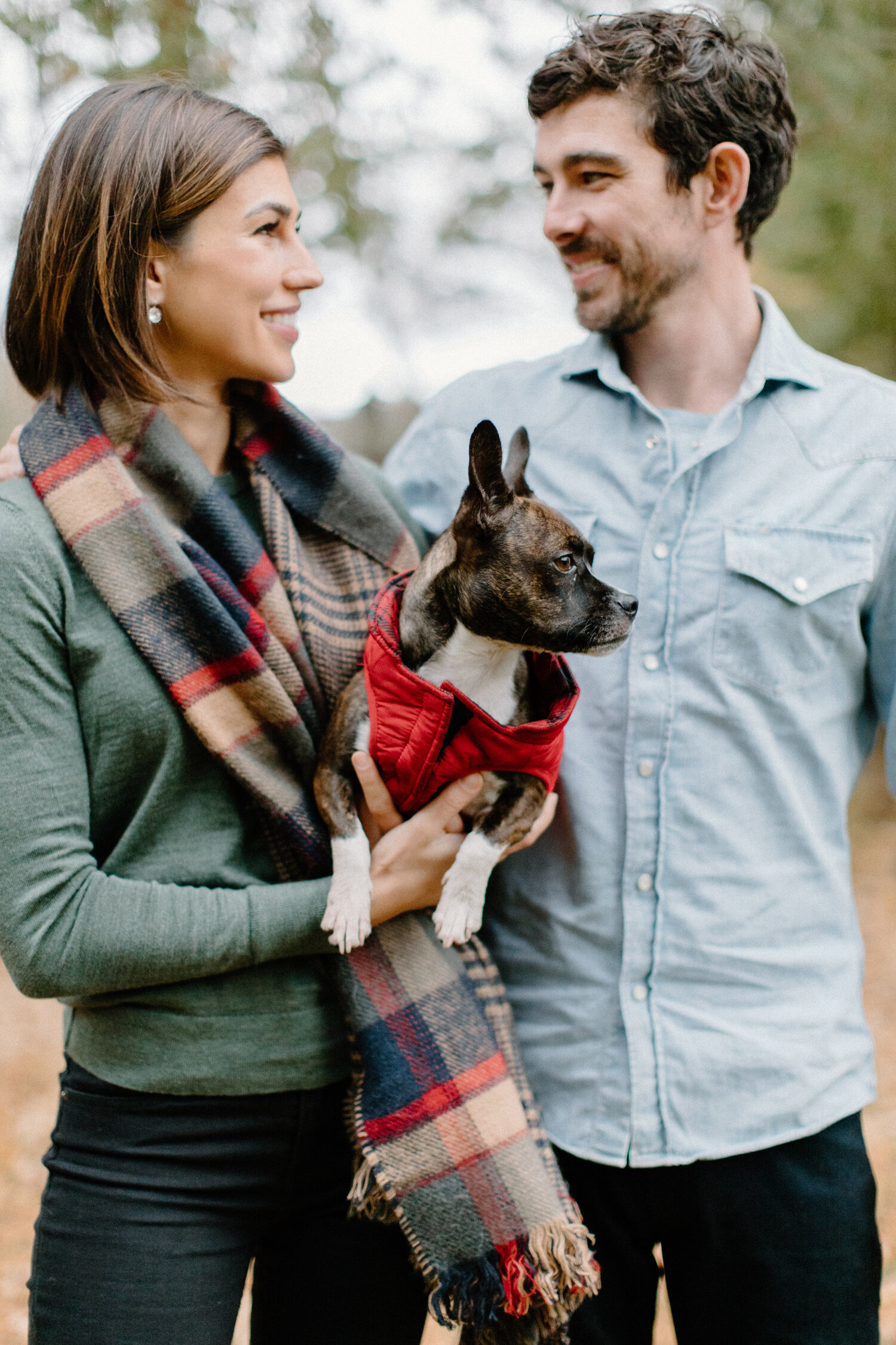  During their engagement session with Chelsea Mason Photography, this couple smiles at one another while cuddling their french bulldog in a forrest in Quebec, Canada. Bulldog engagement session addition, dog family photos, quebec canada couples photo