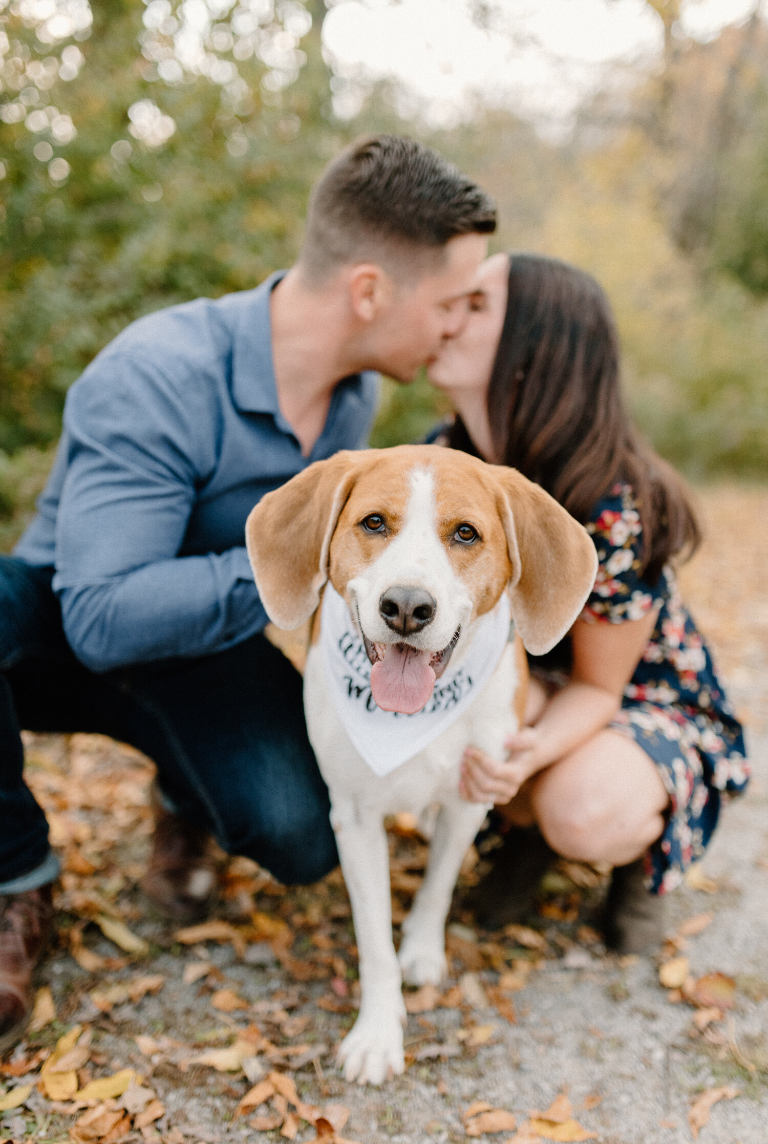   During this autumn engagement photo session in Brockville, Ontario, Chelsea Mason Photography captures an out of focus couple kissing with their family dog in the foreground. fomily dog hound couple kissing engagement shoot autumn photos brockville