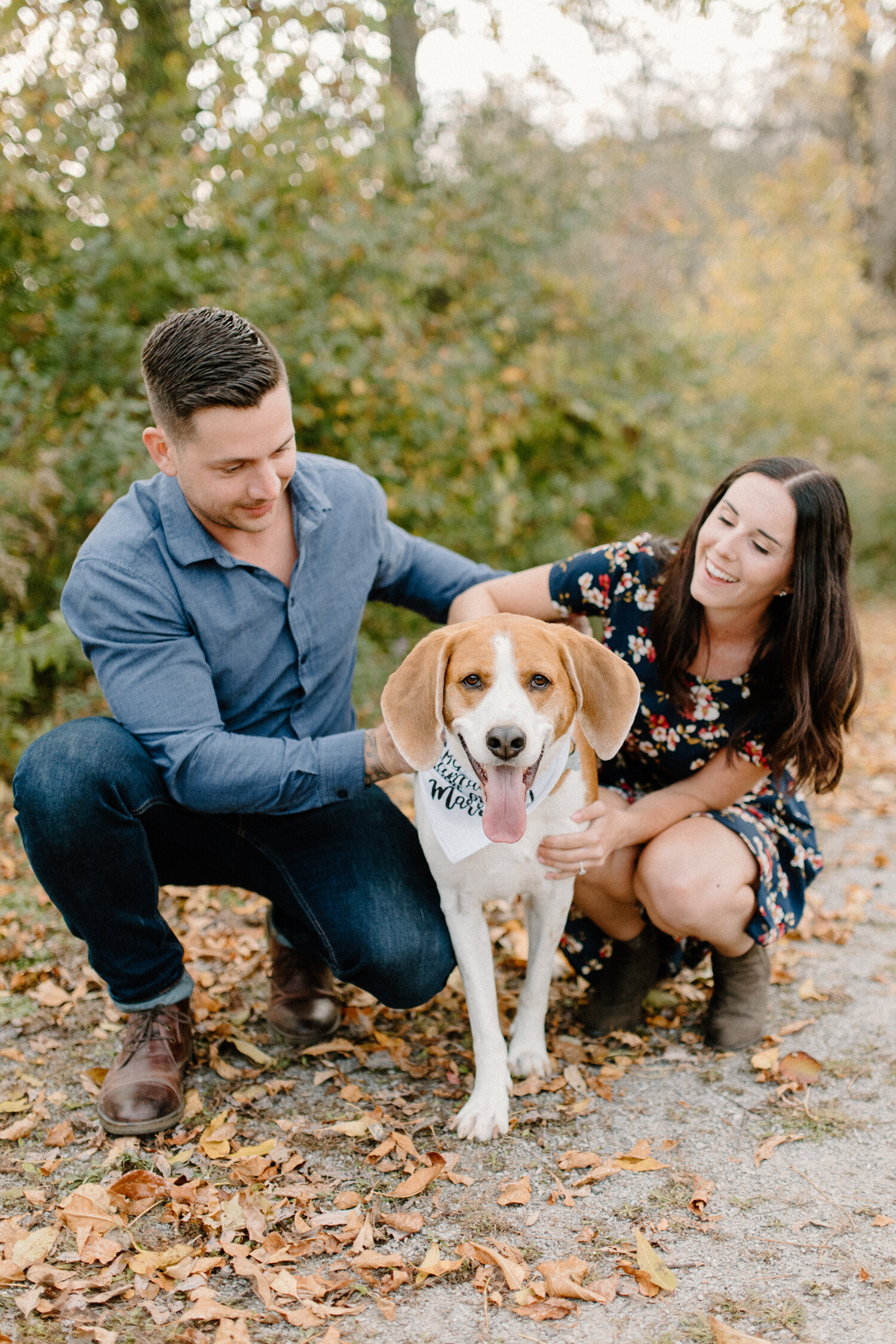   During their autumn engagement session in Brockville Ontario, Chelsea Mason Photography captures this engaged couple pose with their bloodhound dog. brockville ontario engagement photographer bloodhound family dog family photo session couple smilin
