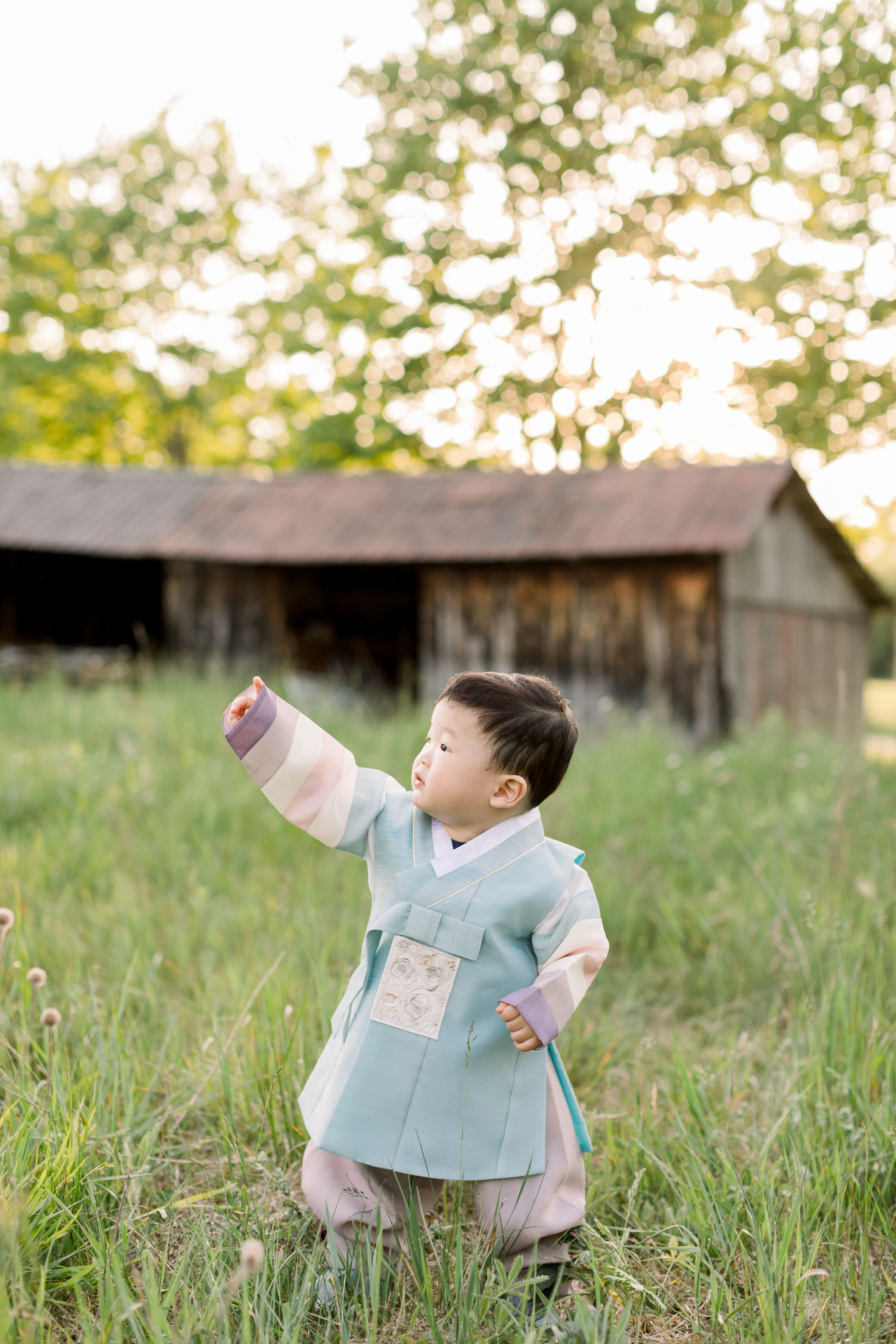  While wearing traditional Japanese attire, Ottawa, Ontario's Chelsea Mason Photography captures this toddler boy striking a martial arts pose. martial arts toddler boy traditional Japanese attire Ottawa Ontario photographer #ChelseaMasonPhotography 