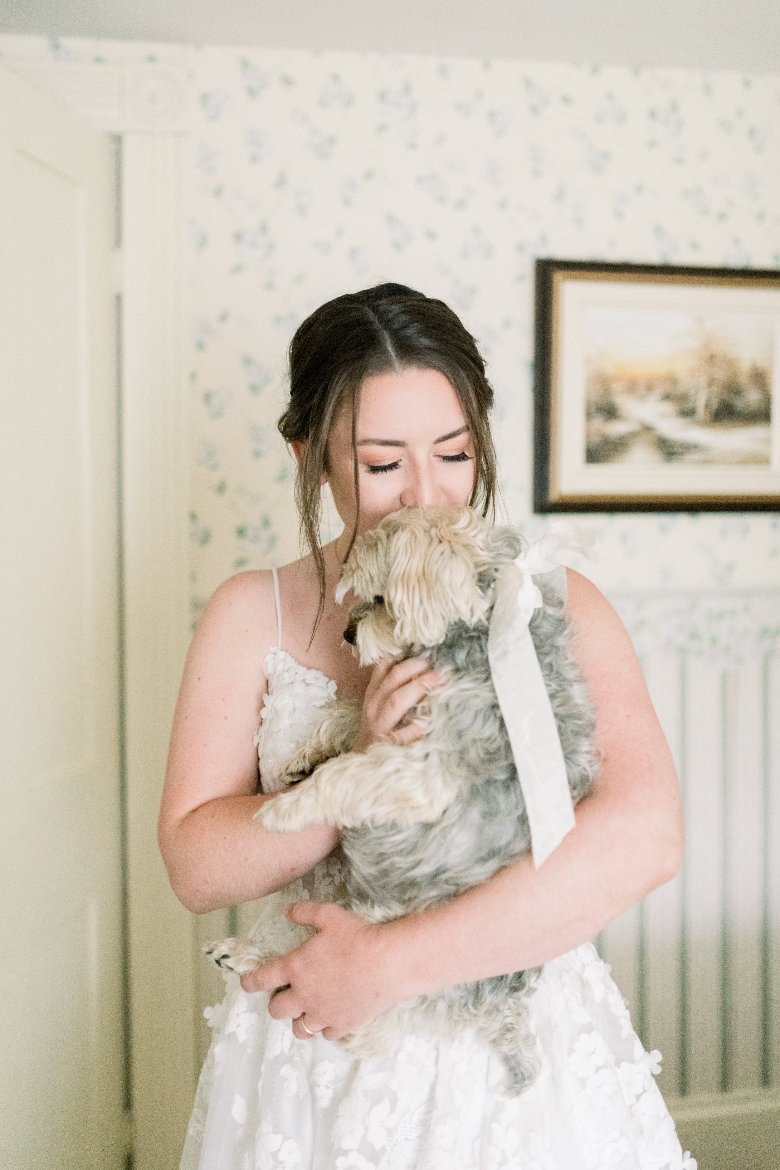  In Boulter, Ontario a bride kisses her little dog by Chelsea Mason Photography. Professional wedding Ontario wedding photographer #chelseamasonphotography #chelseamasonweddings #Ontarioweddings #Boulterweddingphotographer #laceweddinggown 
