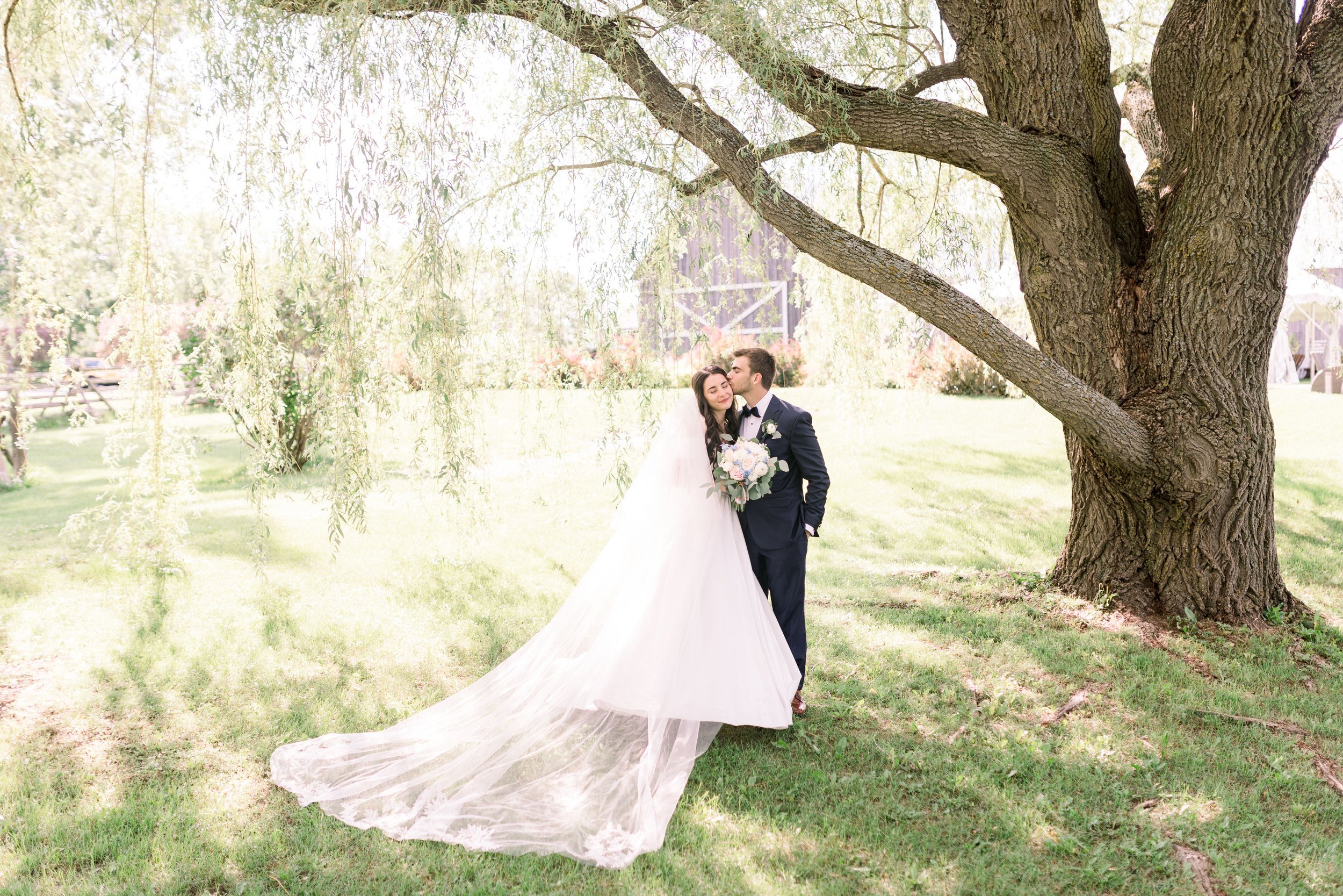  Under a weeping willow tree a bride and groom kiss in golden sunlight by Chelsea Mason Photography. old tree bridals #Chelseamasonphotography #Chelseamasonweddings #Onatarioweddings #EvermoreweddingsAlmonte #Ontarioweddingphotographers 