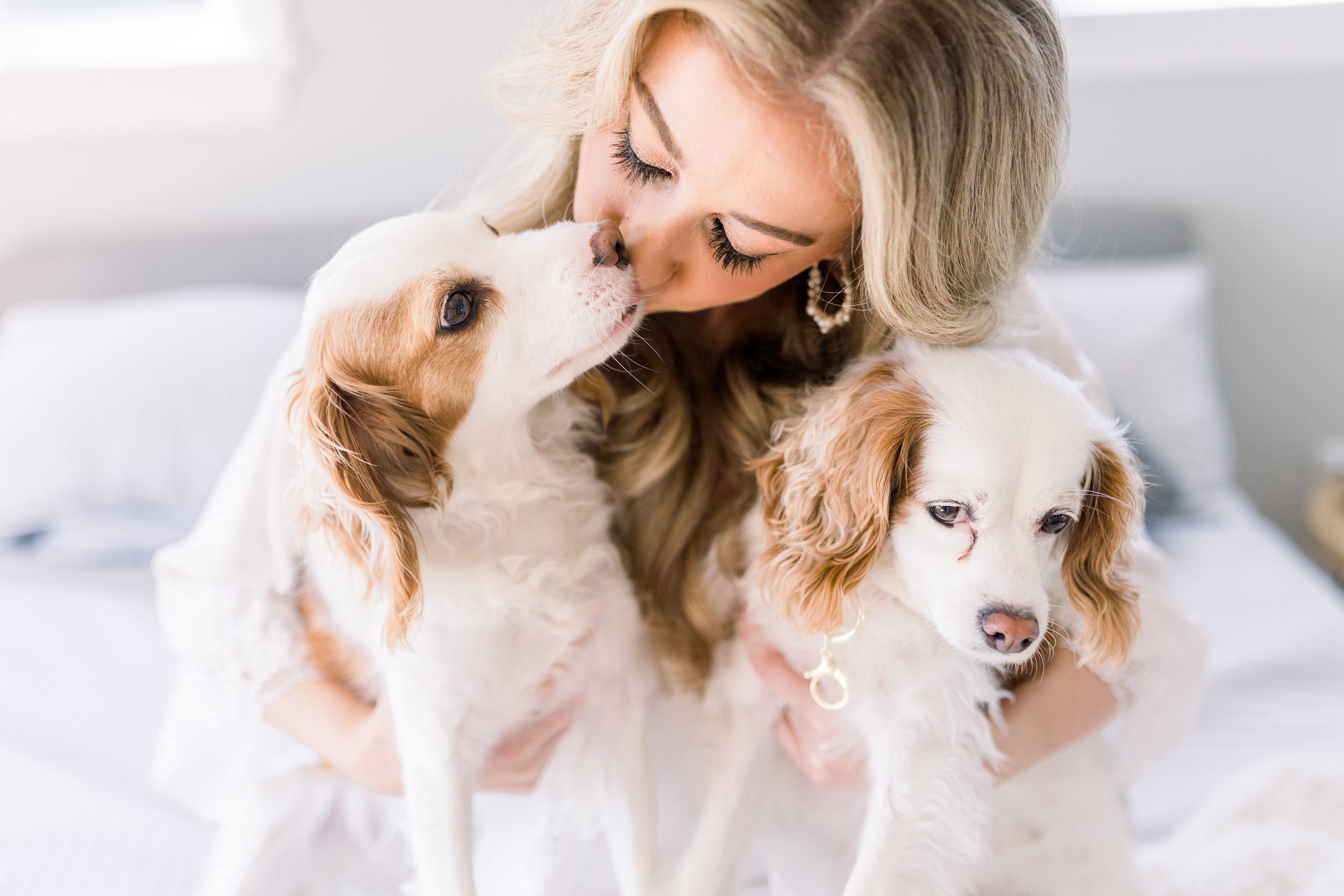  Close up of the bride kissing her two puppies on her wedding day by Chelsea Mason Photography. Fur babies in wedding #ChelseaMasonPhotography #ChelseaMasonWeddings #PrinceEdwardsCountyWeddings #SandbanksWeddings #ONweddingphotographer 