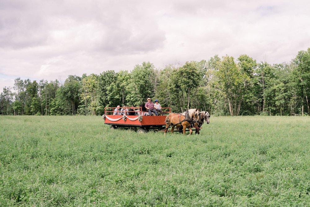 ottawa_wedding_photographer_tessa-99.jpg