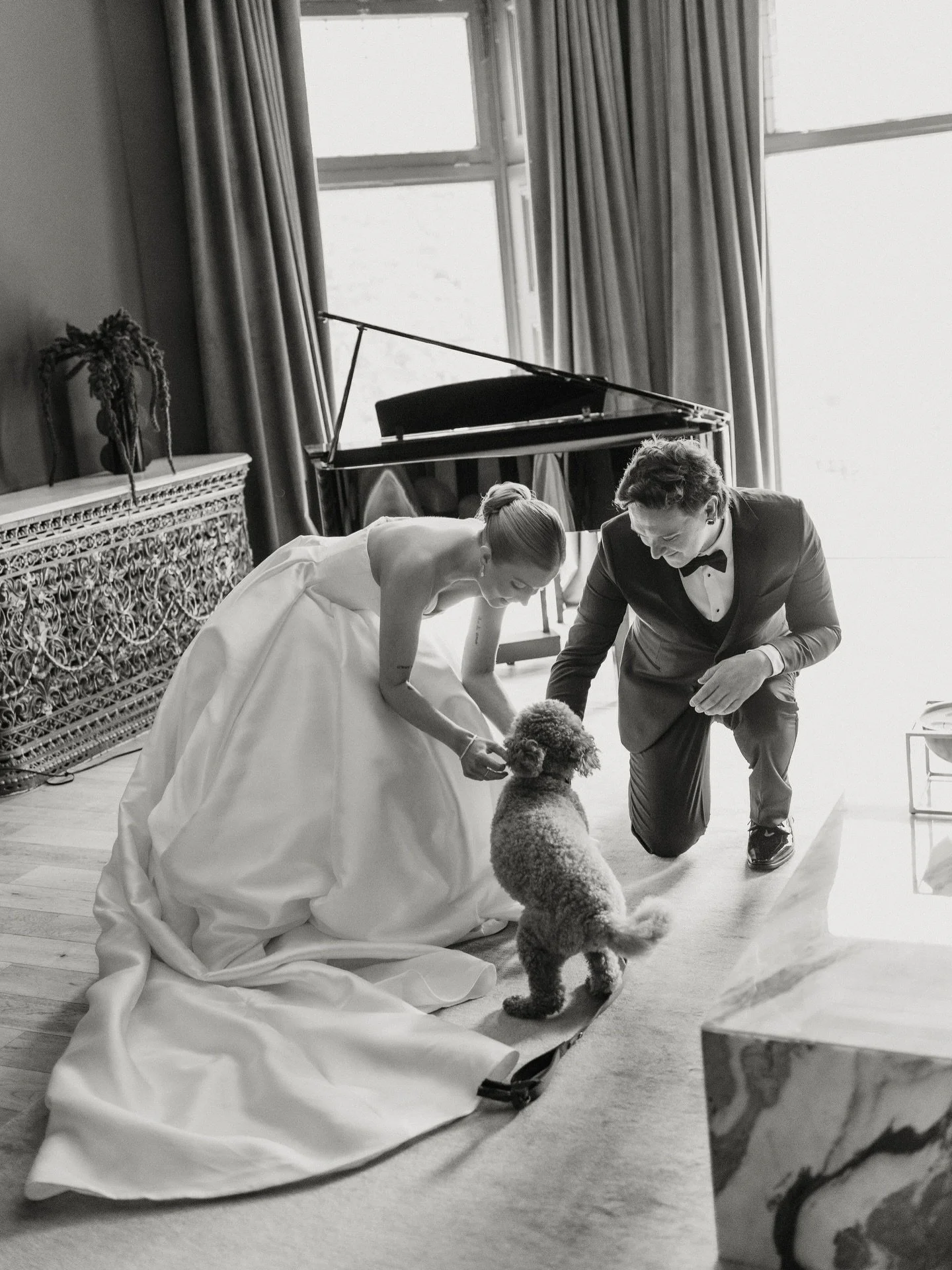 We all know and love a first look with your hunnys&hellip; but can we also all agree on more first looks with pups😭🤍 Jackson was the cutest groomsdog I&rsquo;ve ever seen and took his role V seriously 🐩