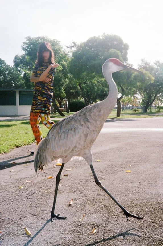 top by Cedric Charlier pants by Celine
