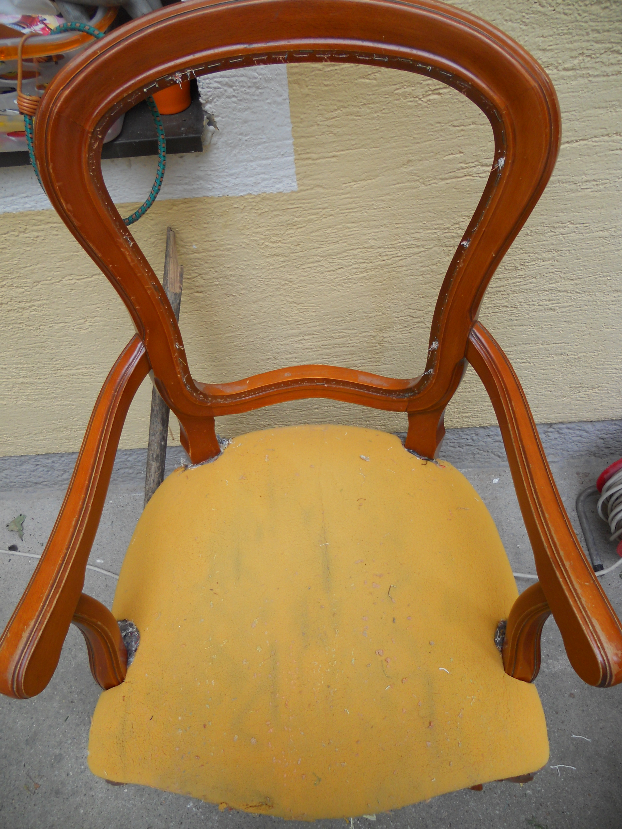 DSCN8223.JPG