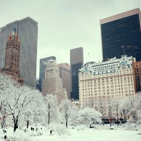 The Top 5 Winter Wedding Venues in New York City