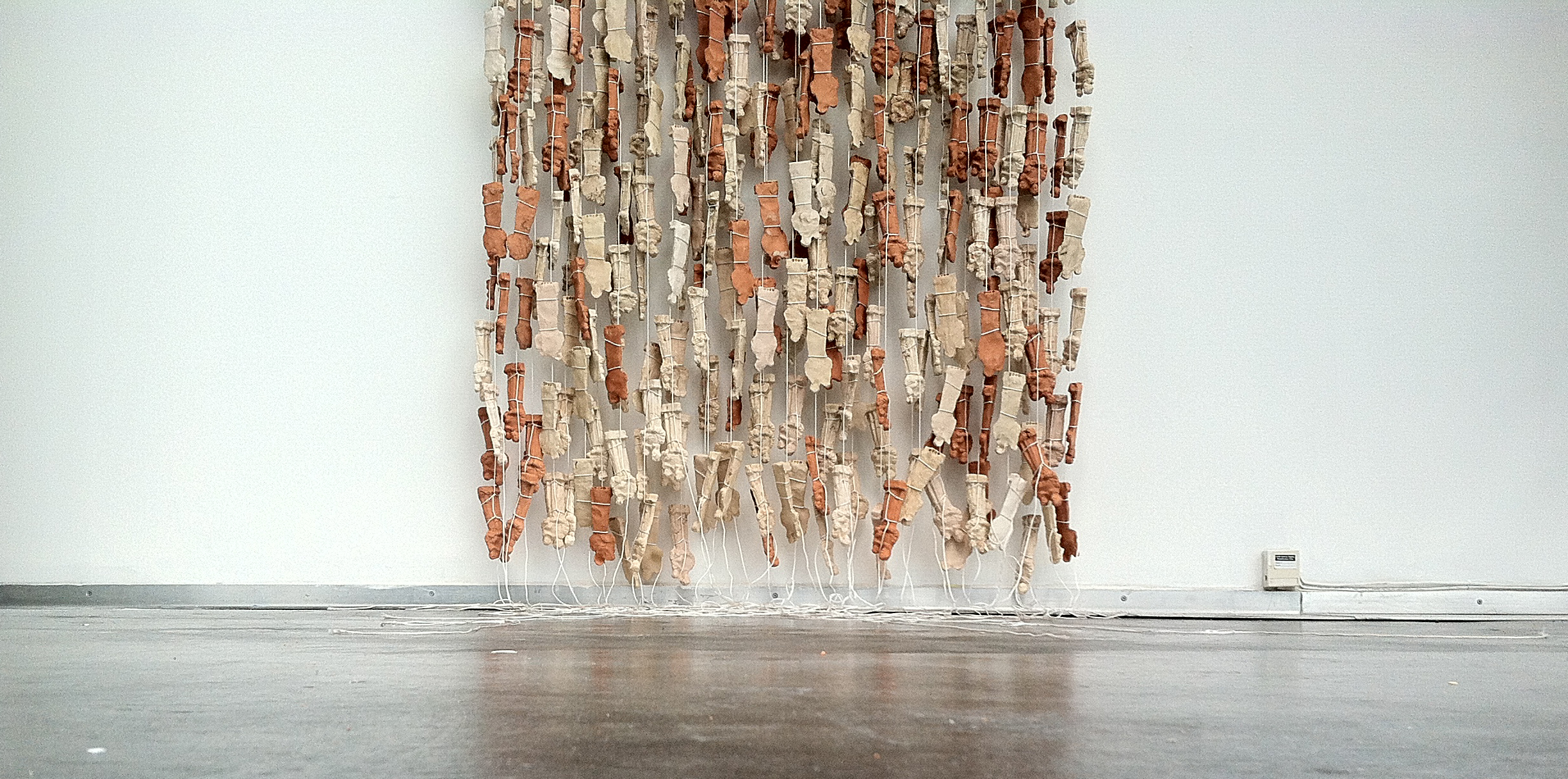 José Luis Íñiguez, Petitions to Saint Anthony, 2014