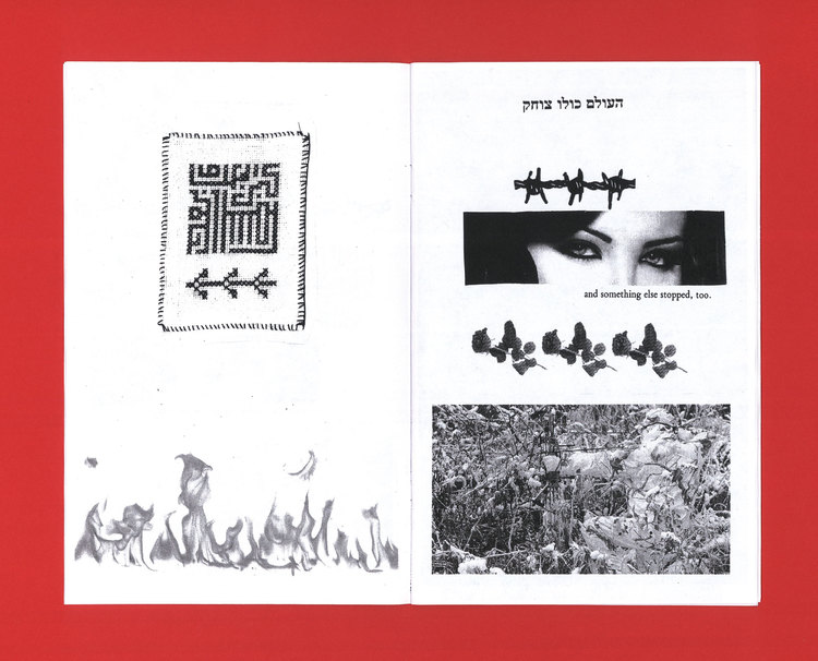 interior page from: WHEN IT'S NAKED , 2015 - ZINE, EDITION OF 50