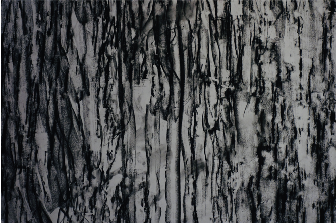 Sempervirens #3, Charcoal and Paper, 45x48”