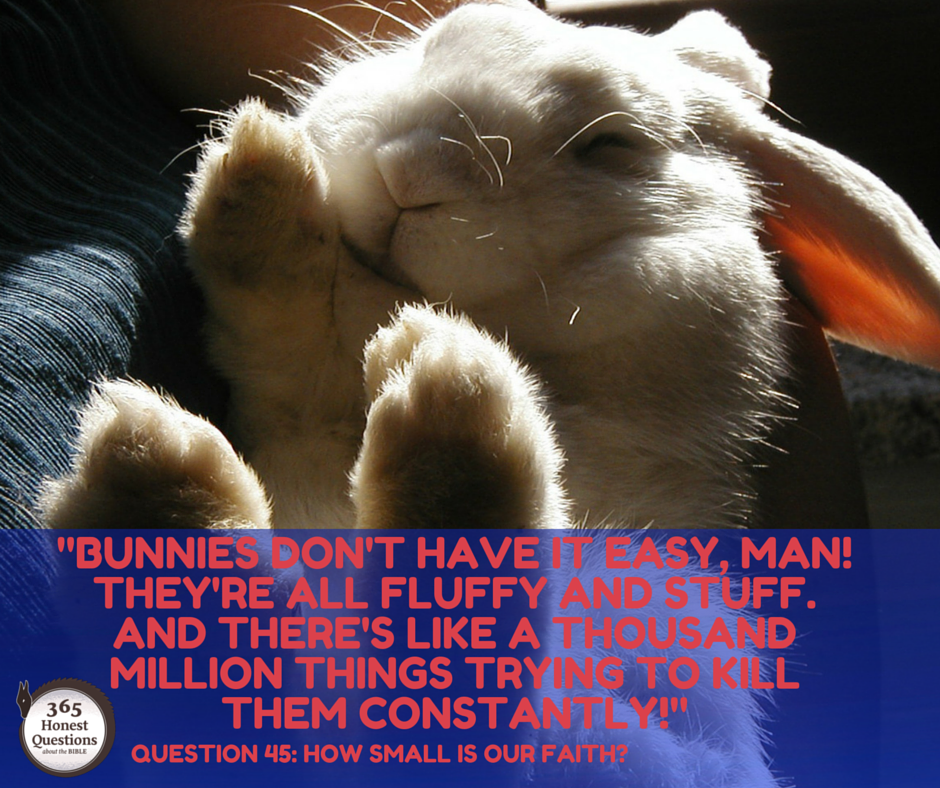 Bunnies
