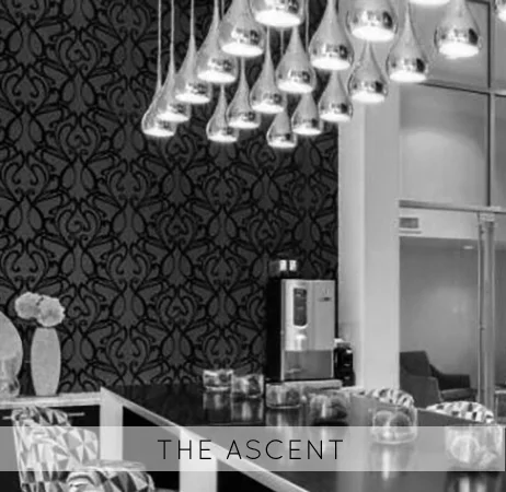 The+Ascent+Thumbnail.jpg