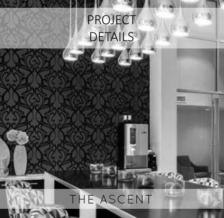 2The+Ascent+Thumbnail.jpg
