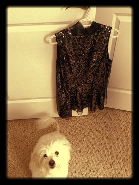 I think these sequins are Oscar-appropriate. Mo gives them two paws up.
