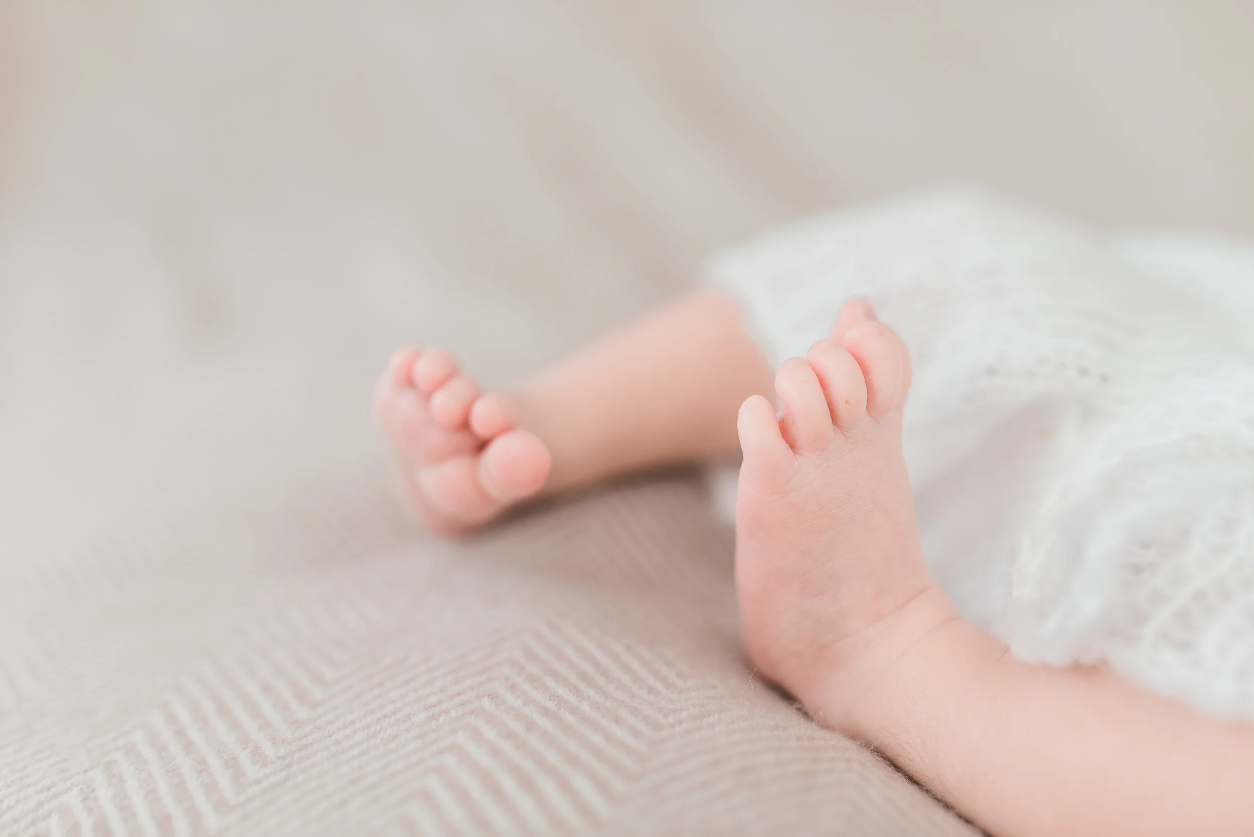 RachaelLaynePhotography_SCfamilyphotographer04.jpg