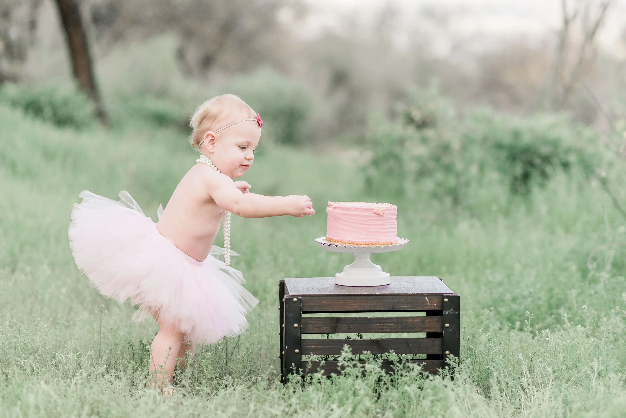 RachaelPearcePhotography_SouthCarolinaPhotographer2016_02RPP_5384.jpg