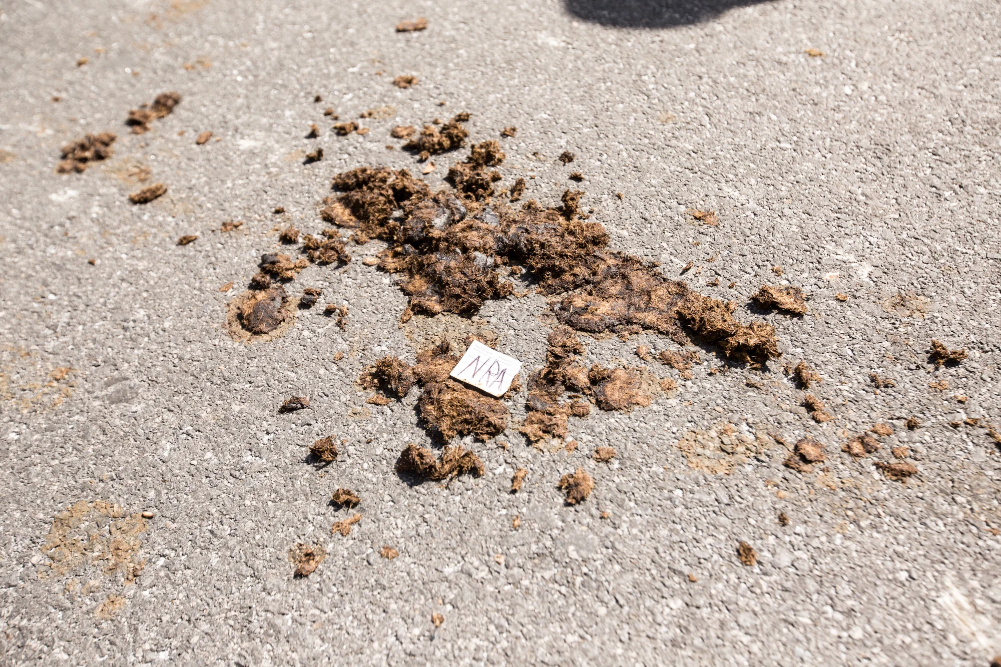 DC General photos2N3A1638.jpg