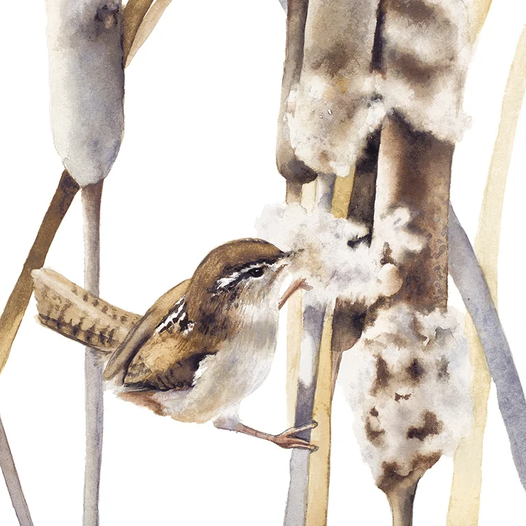 Cattail #2-Cropped and Image Reversed-Sharpened-Orig.8x8.jpg