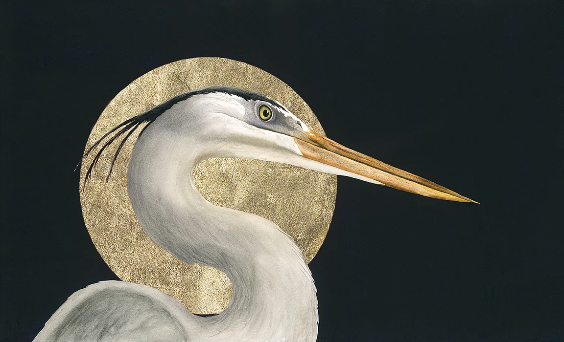 Heron in Harvest Moon-With GOLD and No Signature-by Rebecca Kahrs-Orig.12x18.jpg