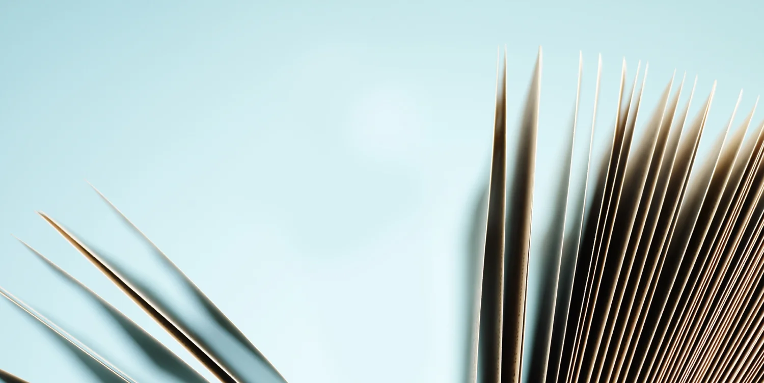 gallery_header.jpg