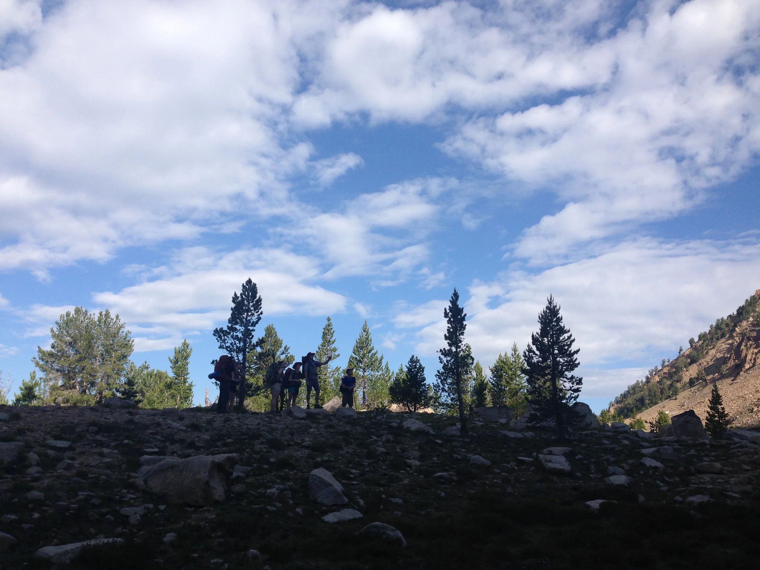 Protecting the Public Process on our National Forests, HR 2647