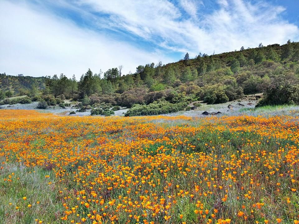 Berryessa Snow Mountain, photo by Andrew Fulks