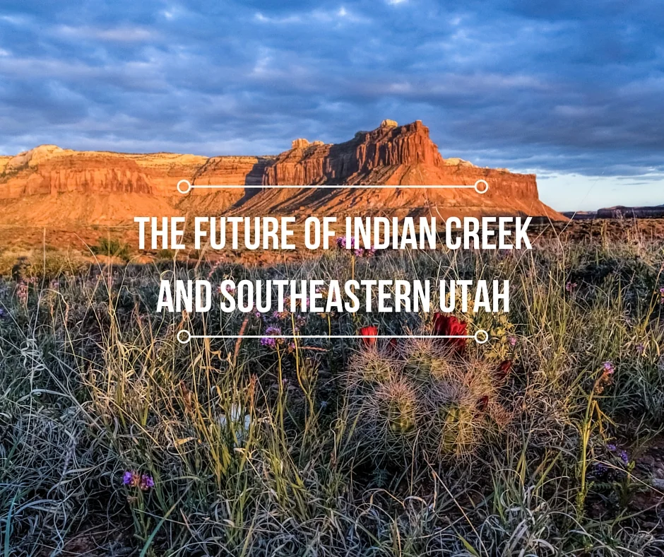 Photo Credit: Mike A. Shaw