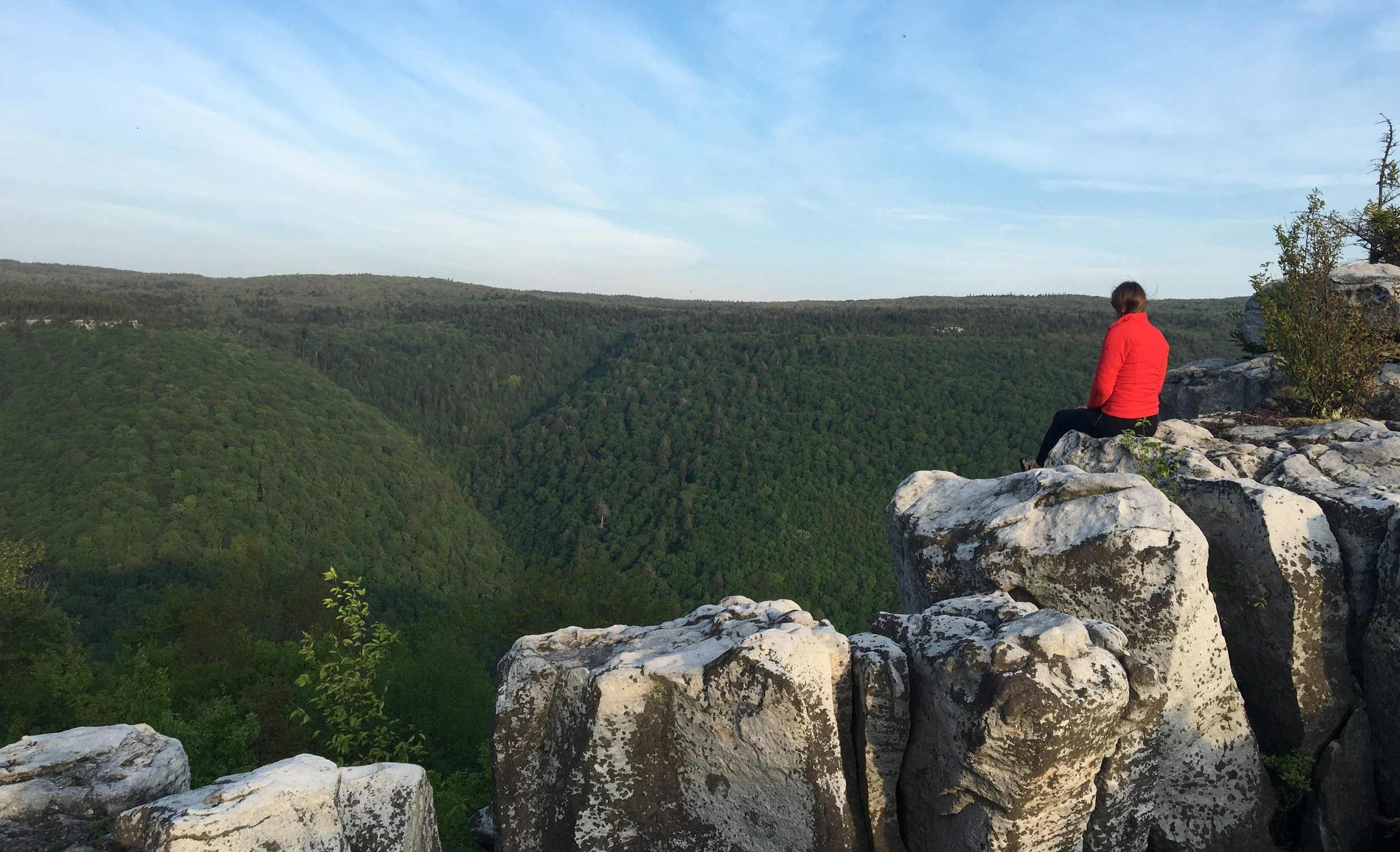 Eastern public lands, like the Monongahela National Forest in West Virginia, are some of the few public lands in the east owned by all Americans.