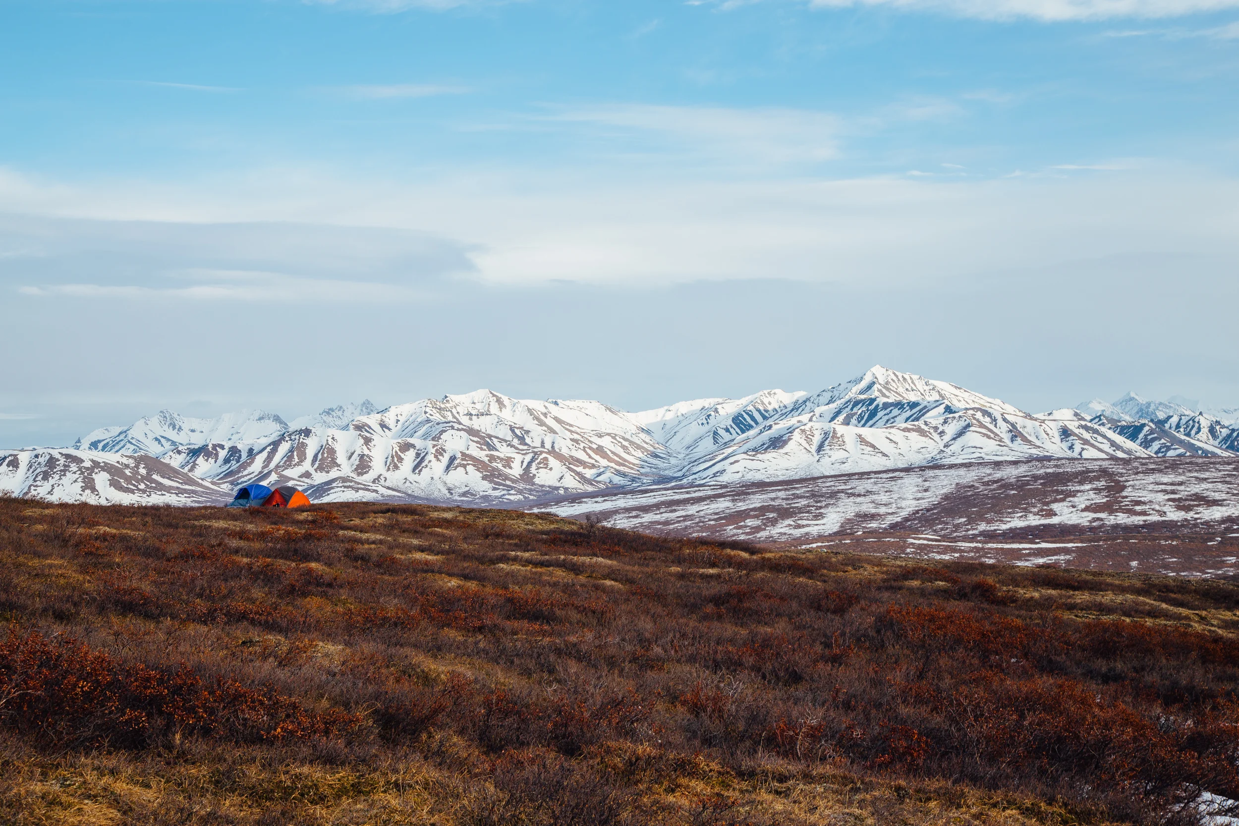 Denali National Park, photo credit: Hunter Day Photography