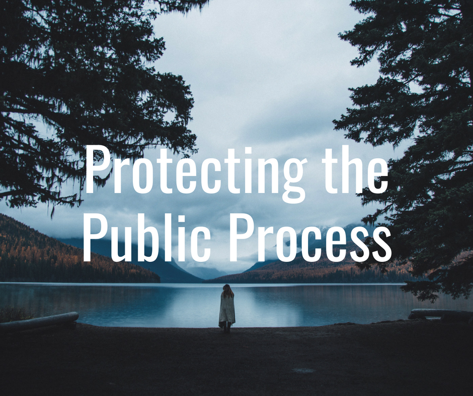 NEPA Public Process.png