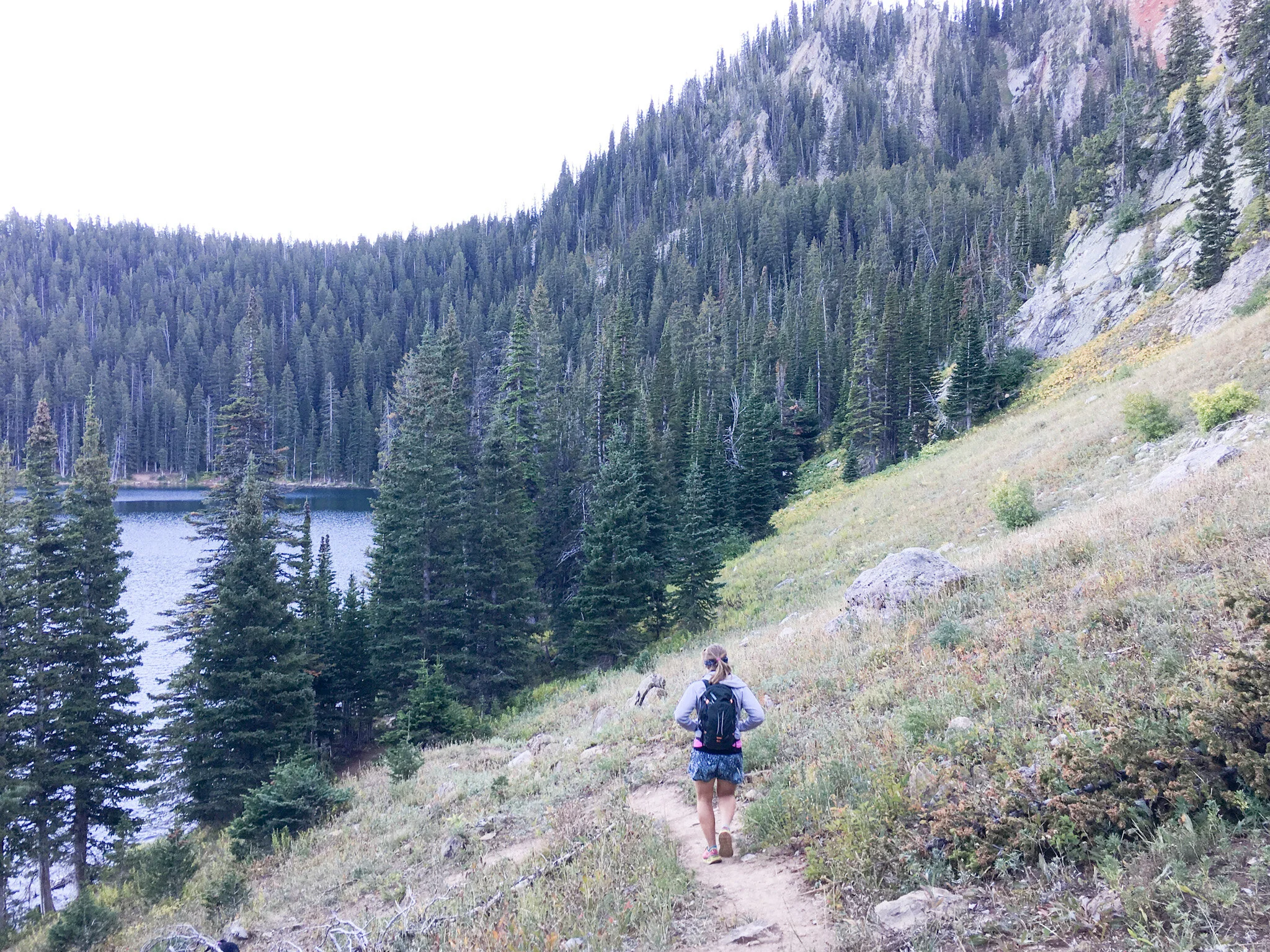 Help Protect Custer Gallatin National Forest Outdoor Alliance