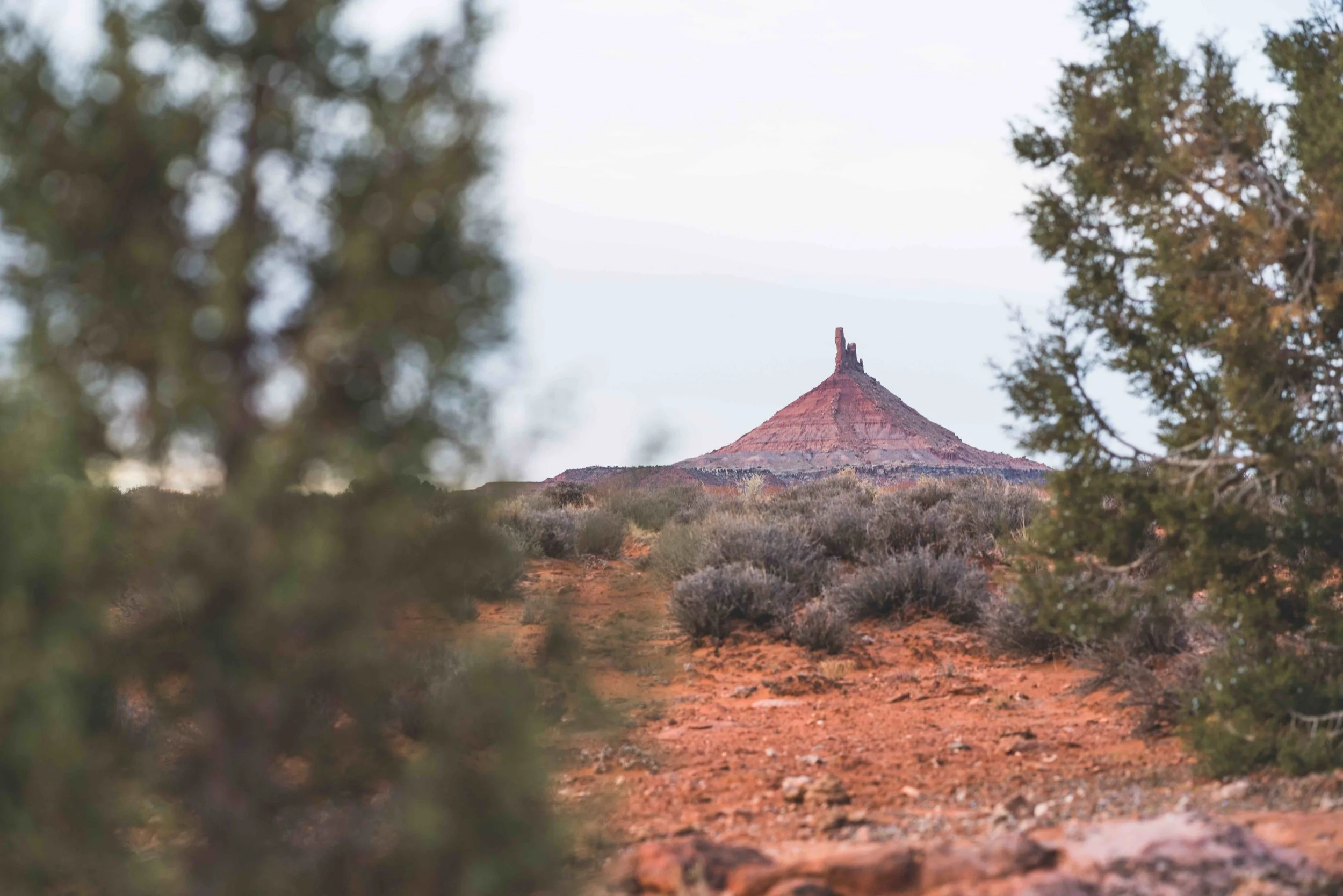 Bears Ears_Jasper Gibson.jpg