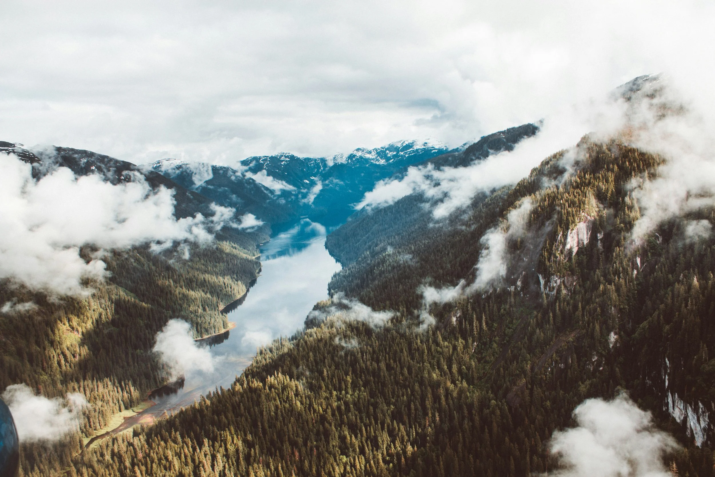 cody-doherty-wYAu6E0xsD8-unsplash (1).jpg