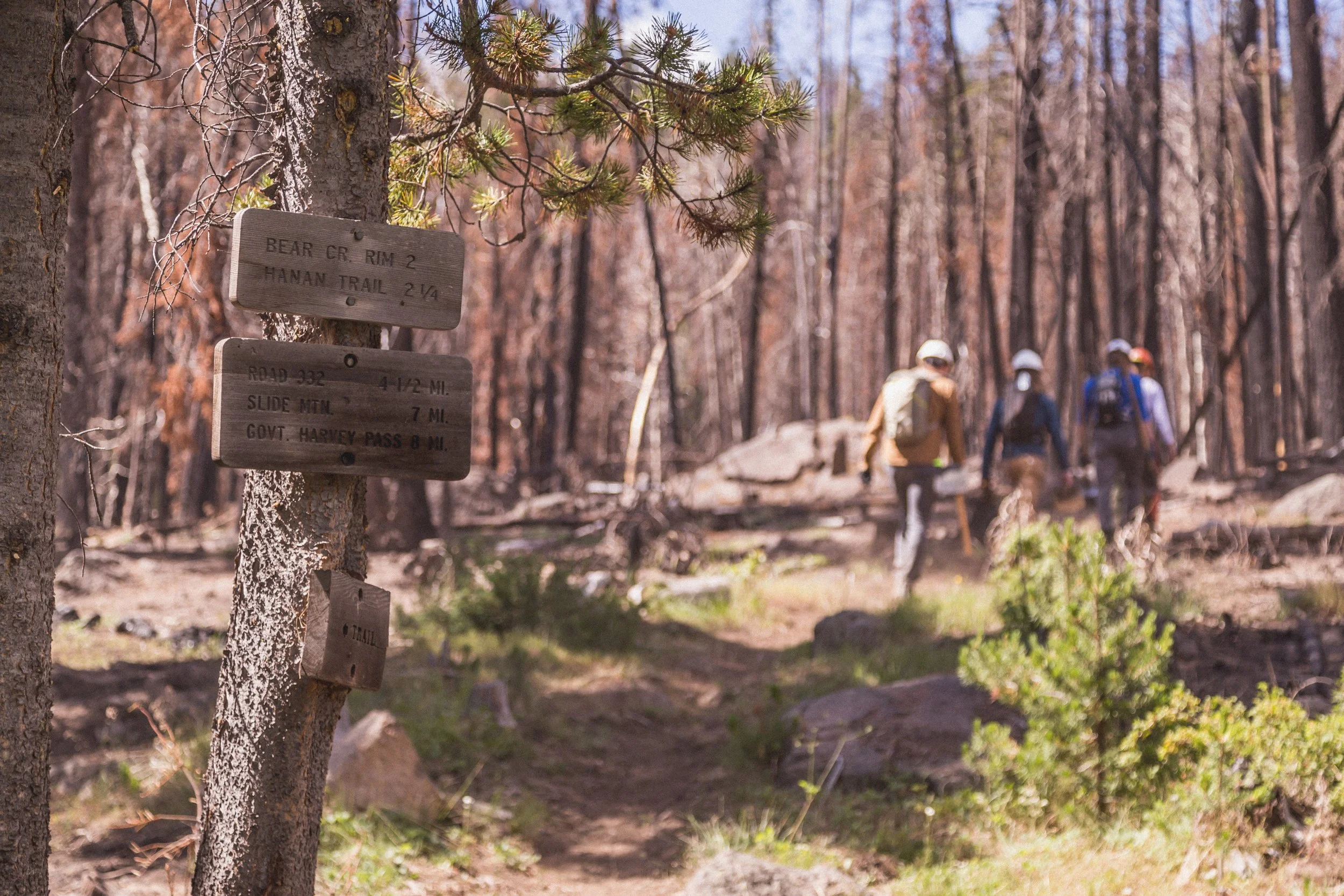 Watson Fire Rehab 2019-2.jpg