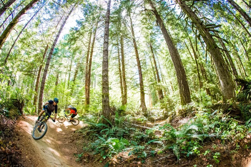 Speak up for Recreation on Oregon's Forests — Outdoor Alliance