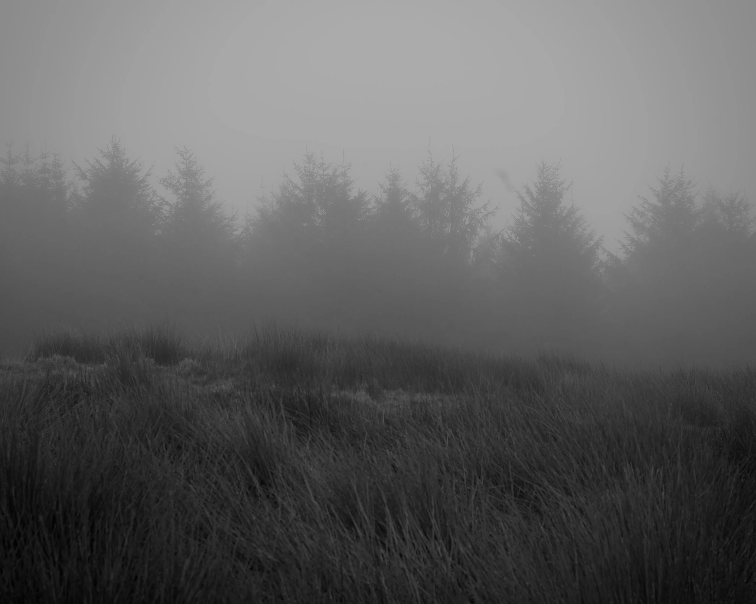7B760688-083C-4573-AC09-CB8318D46384_1_201_a.jpeg