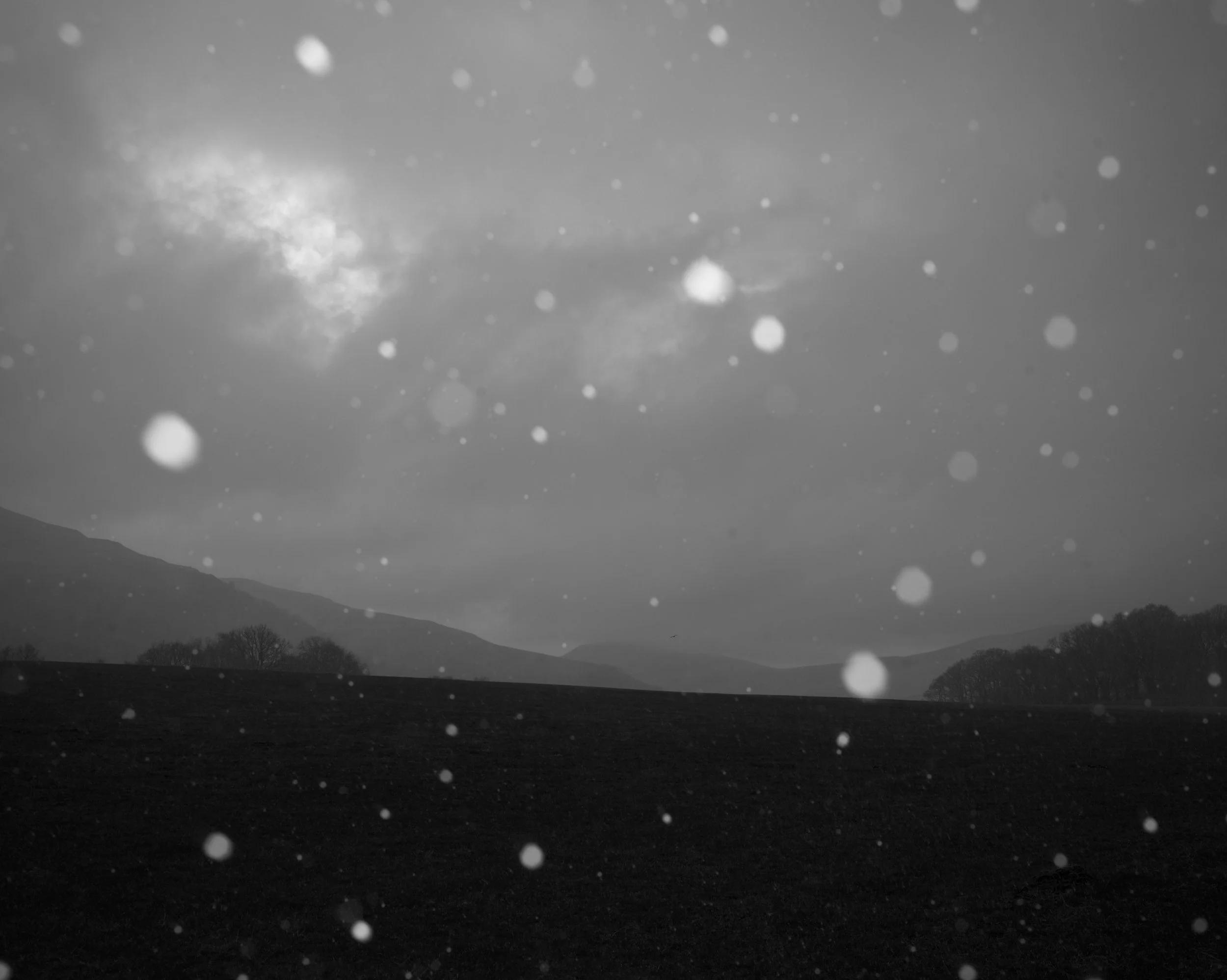 01C285D3-3BD6-4C70-8803-EEF83505BF08_1_201_a.jpeg