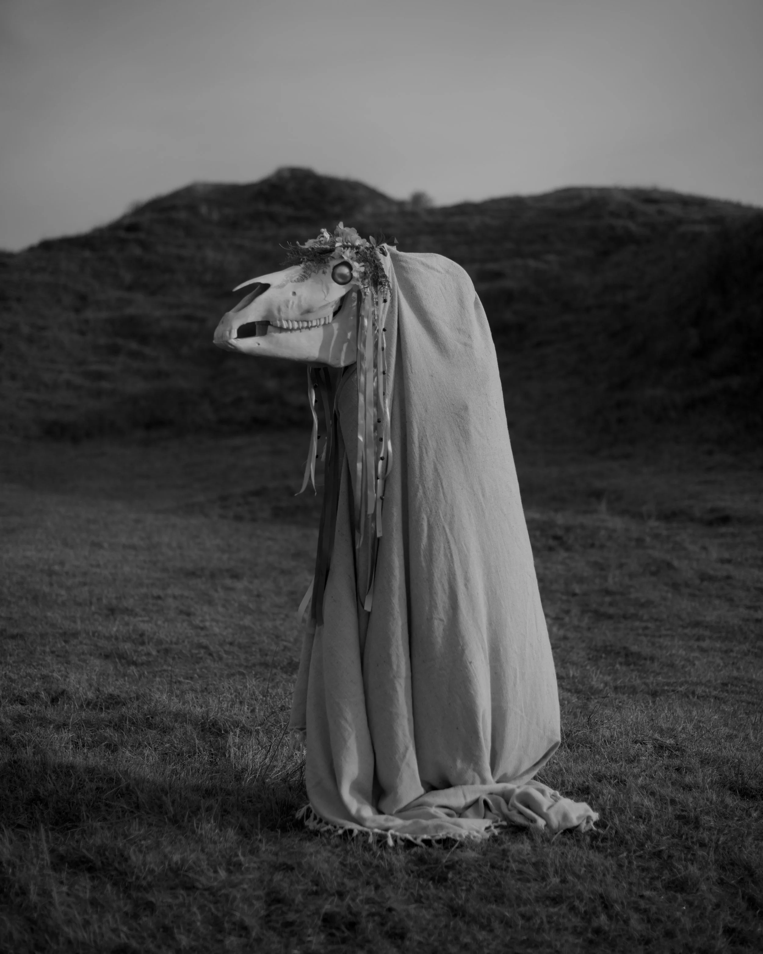 DSC_2558.jpeg