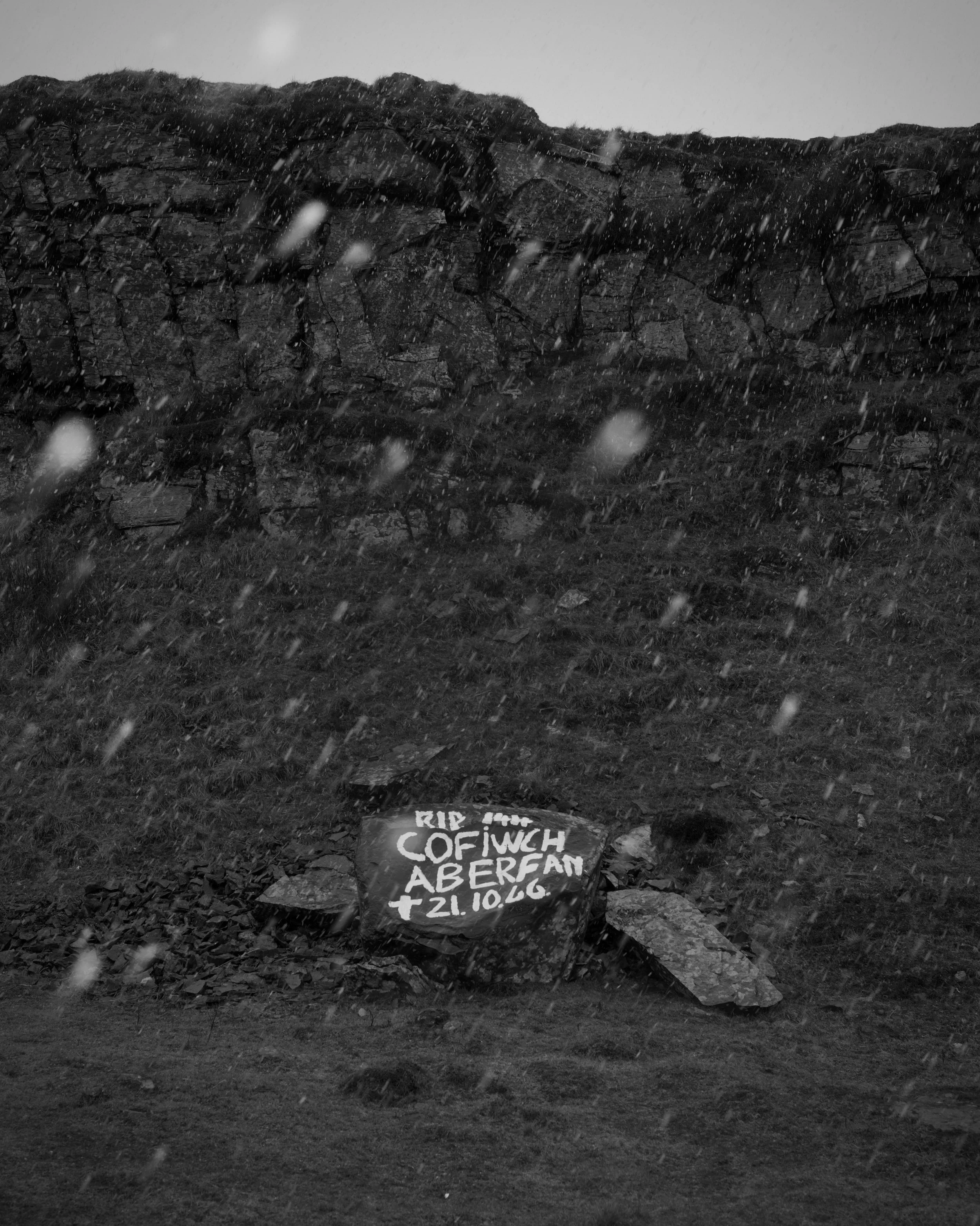 DSC_3616.jpeg