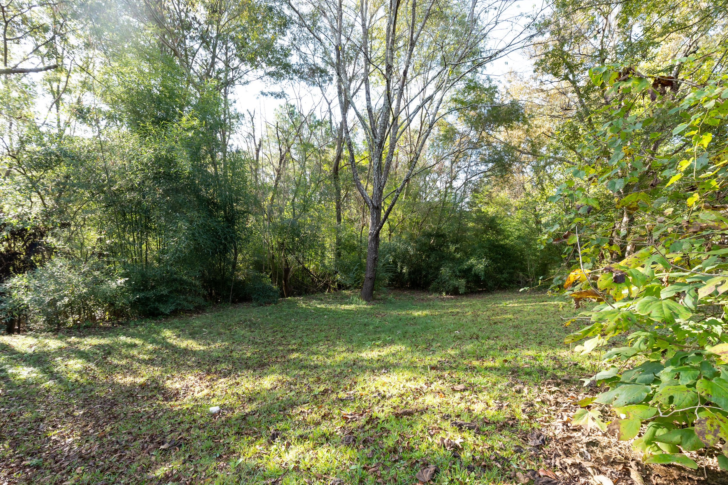 2209 Old Alton Road Irondale (after) 09.jpg