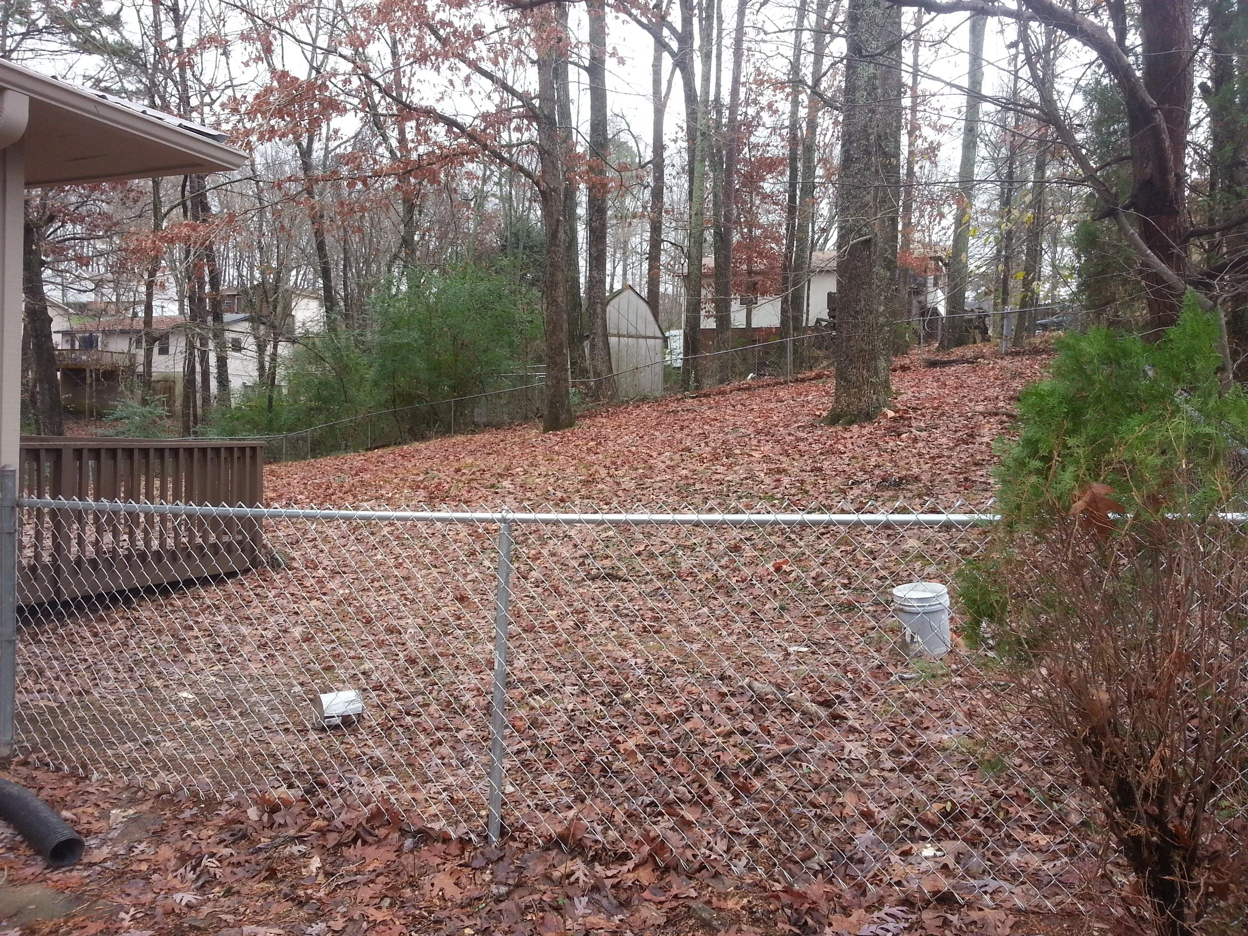 20131209_115006.jpg