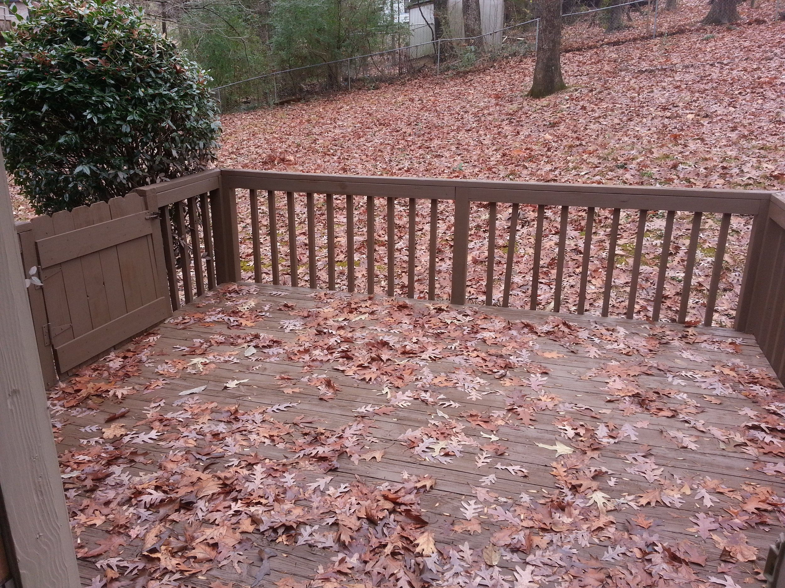 20131209_120029.jpg