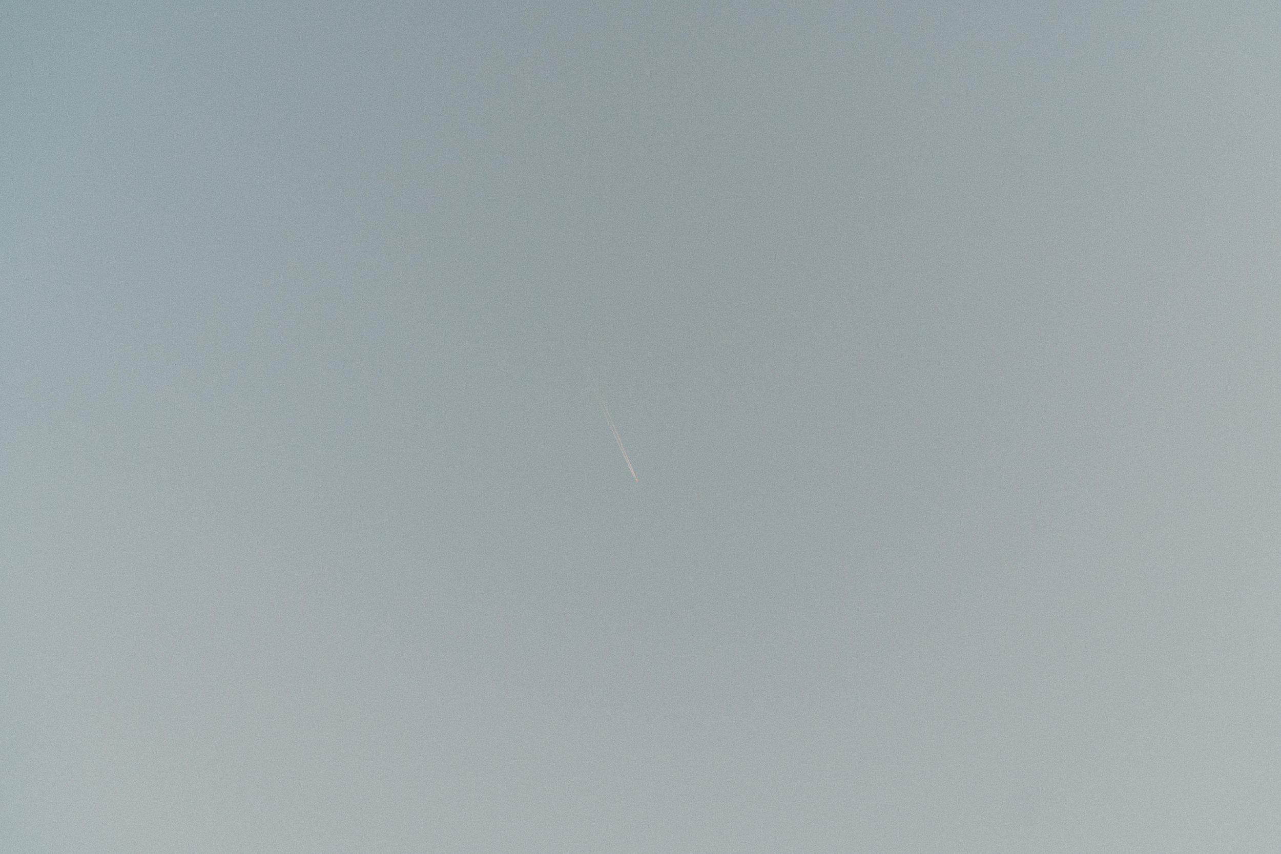 DSC08258.jpg