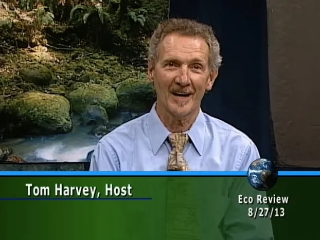 2013 Fukushima Updates