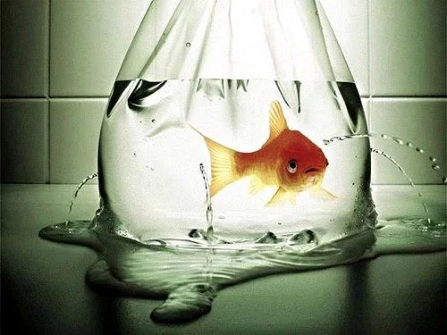 Great Haste Made Great Waste at Hanford