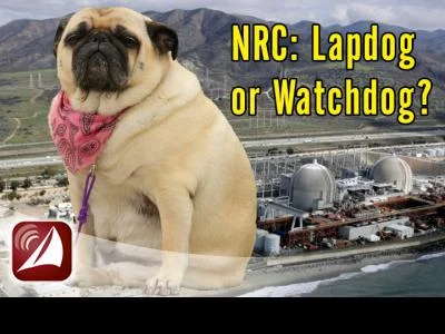 NRC: Lapdog or Watchdog?