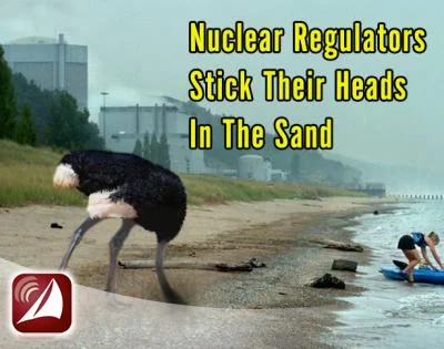 Nuclear Regulators Stick Their Heads In The Sand