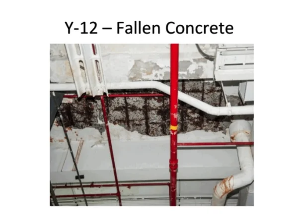 Y-12.jpg