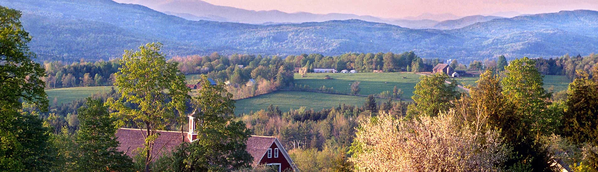 Spring Calls For Your Action